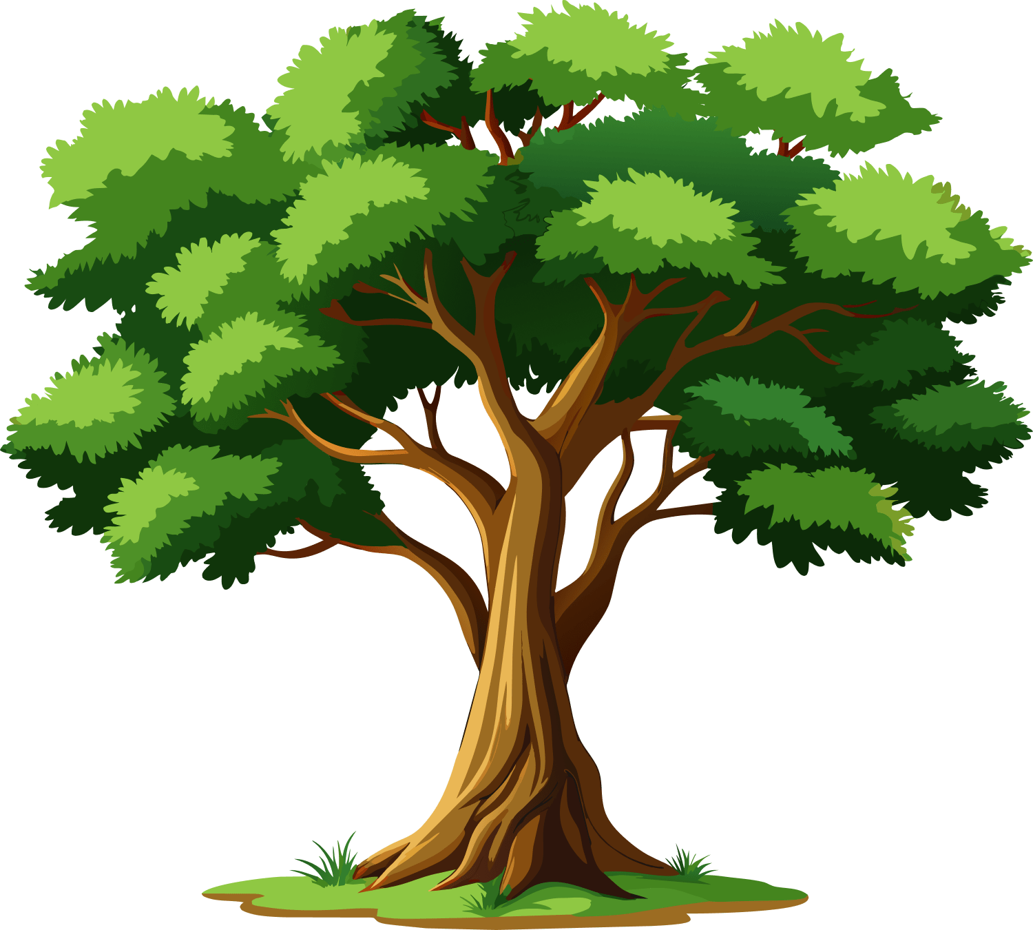 SWM Tree